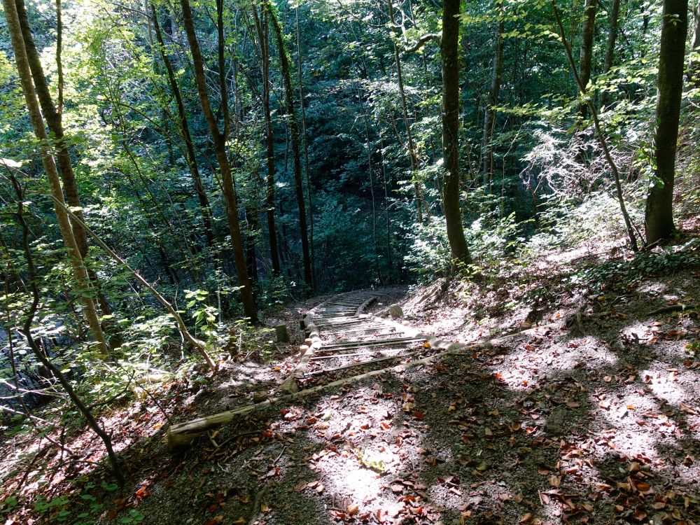 Treppe zum Chalchertobelbach