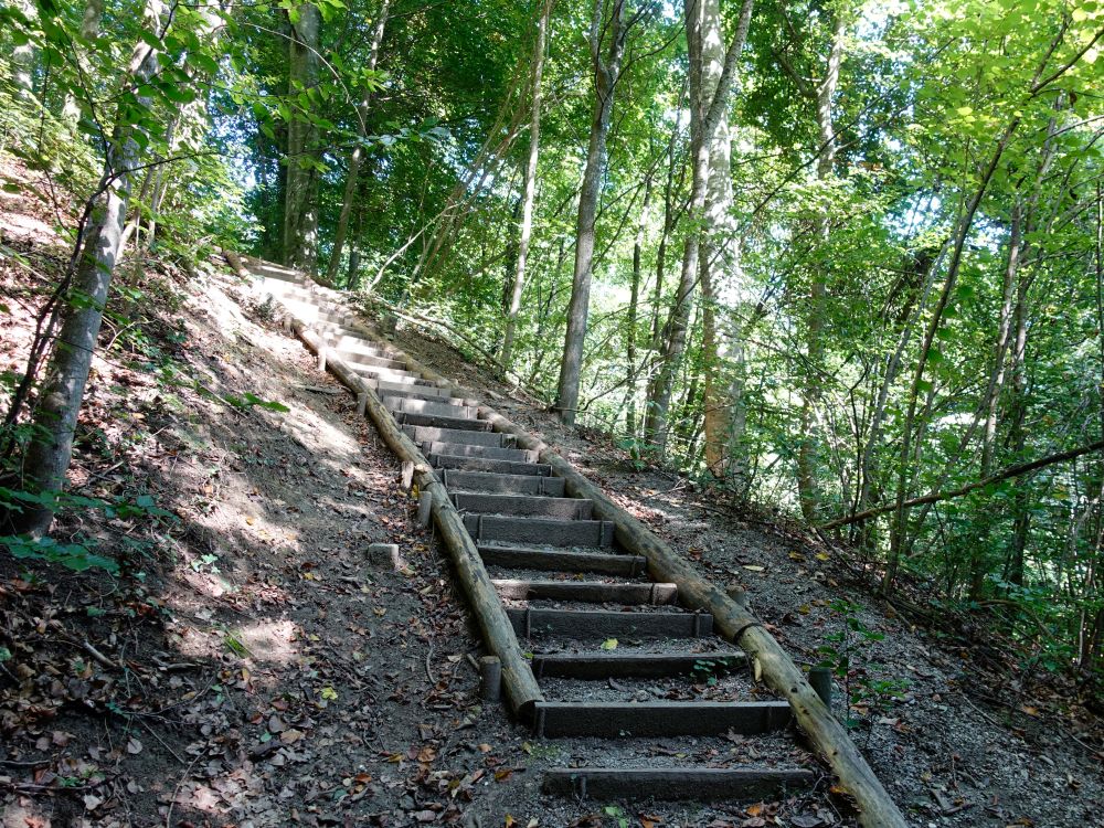 Treppe zum Chalchertobelbach