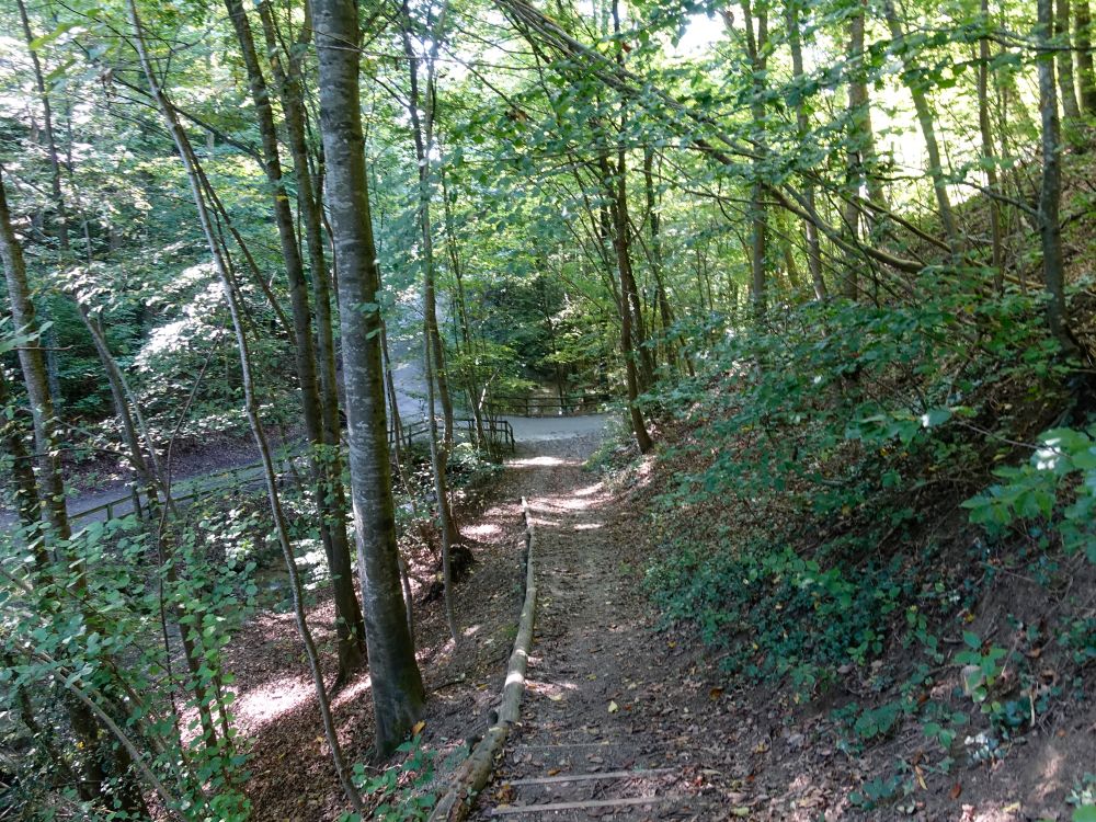 Wegkreuz am Treppe zum Chalchertobelbach