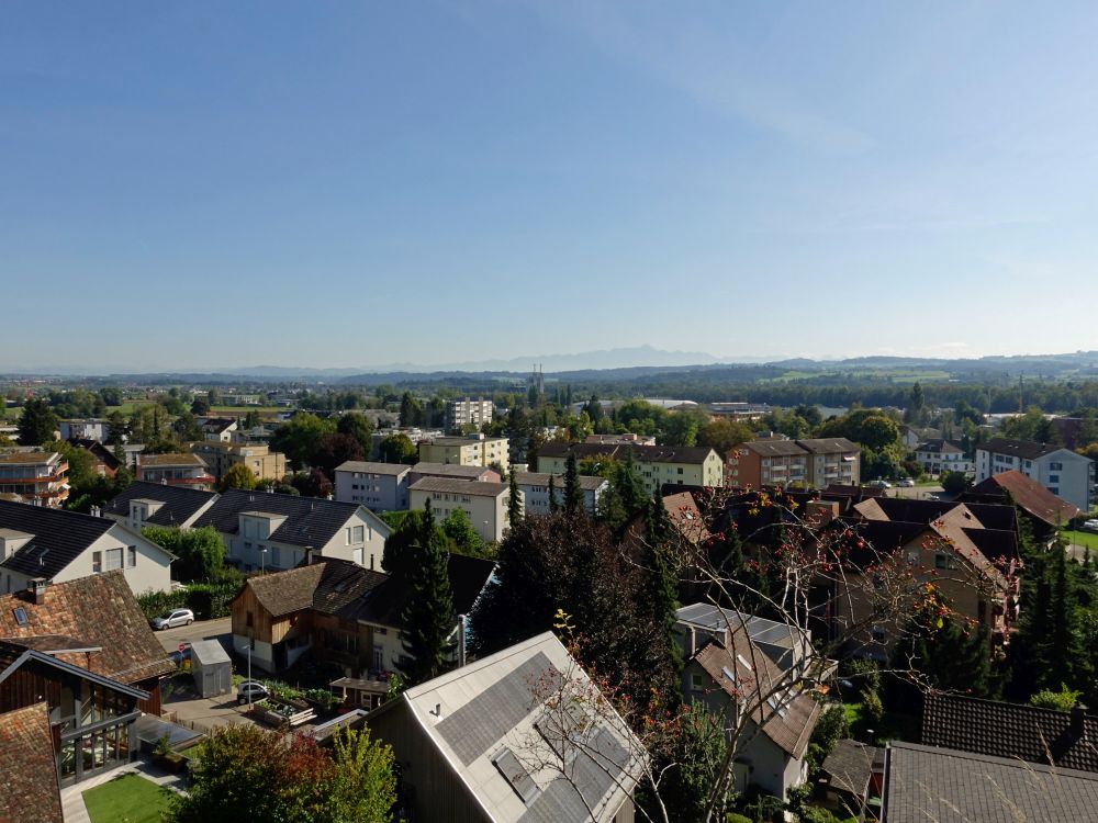 Blick über Weinfelden Richtung Säntis