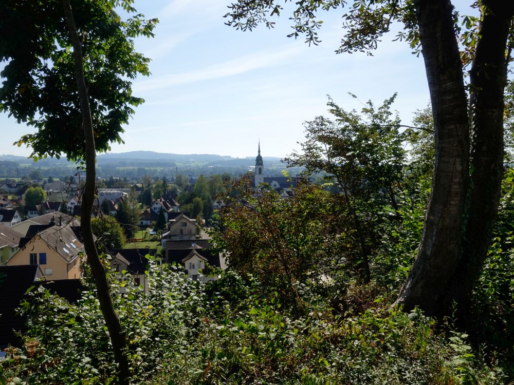 Blick auf Weinfelden vom Allenbergweg