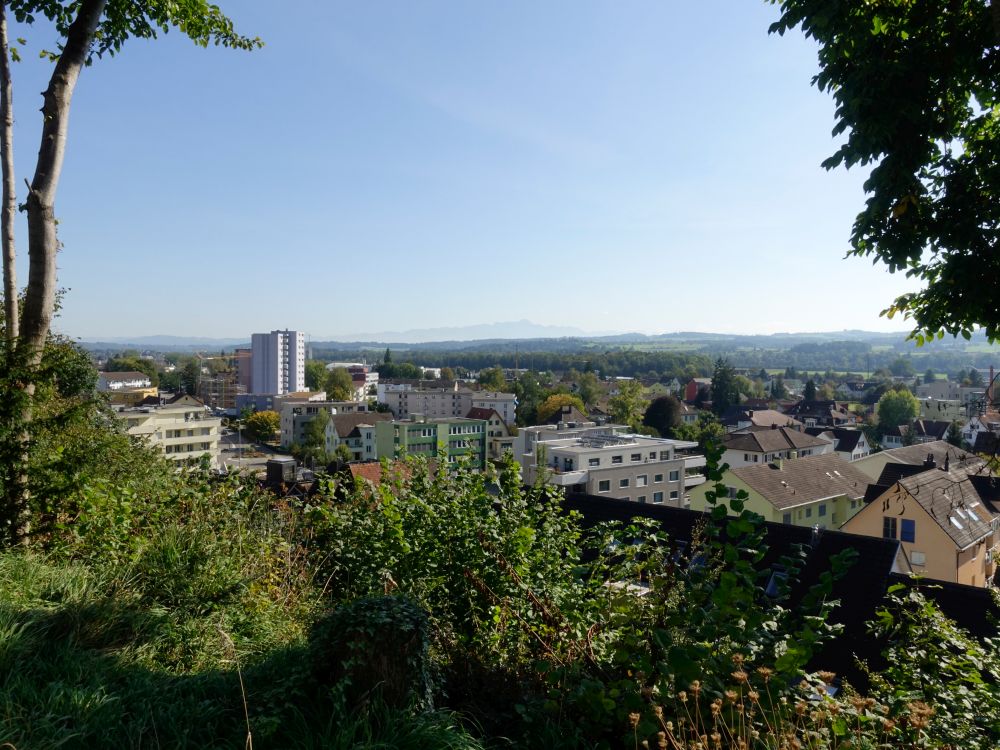 Blick über Weinfelden