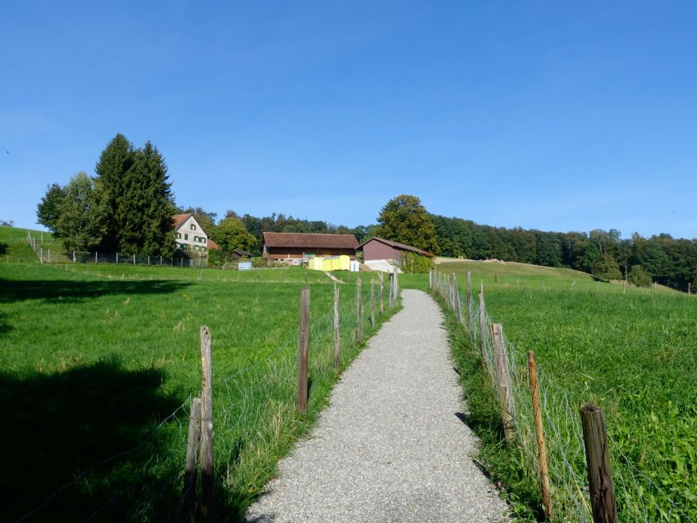 Oberschürli