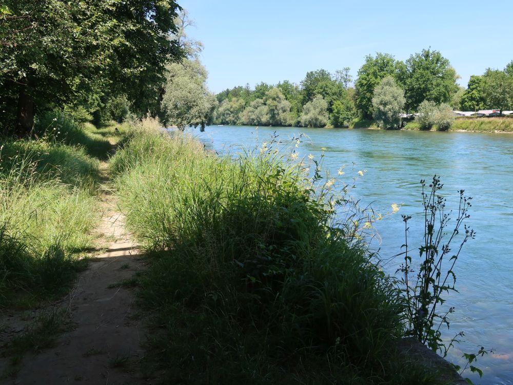 Pfad an der Reuss