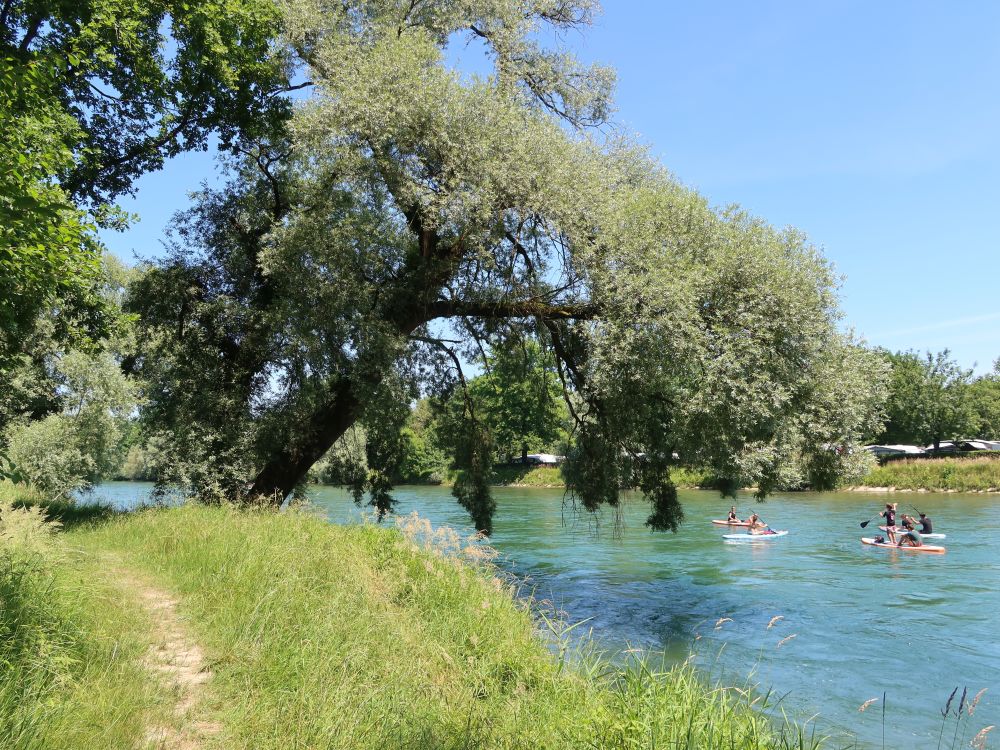 Pfad an der Reuss