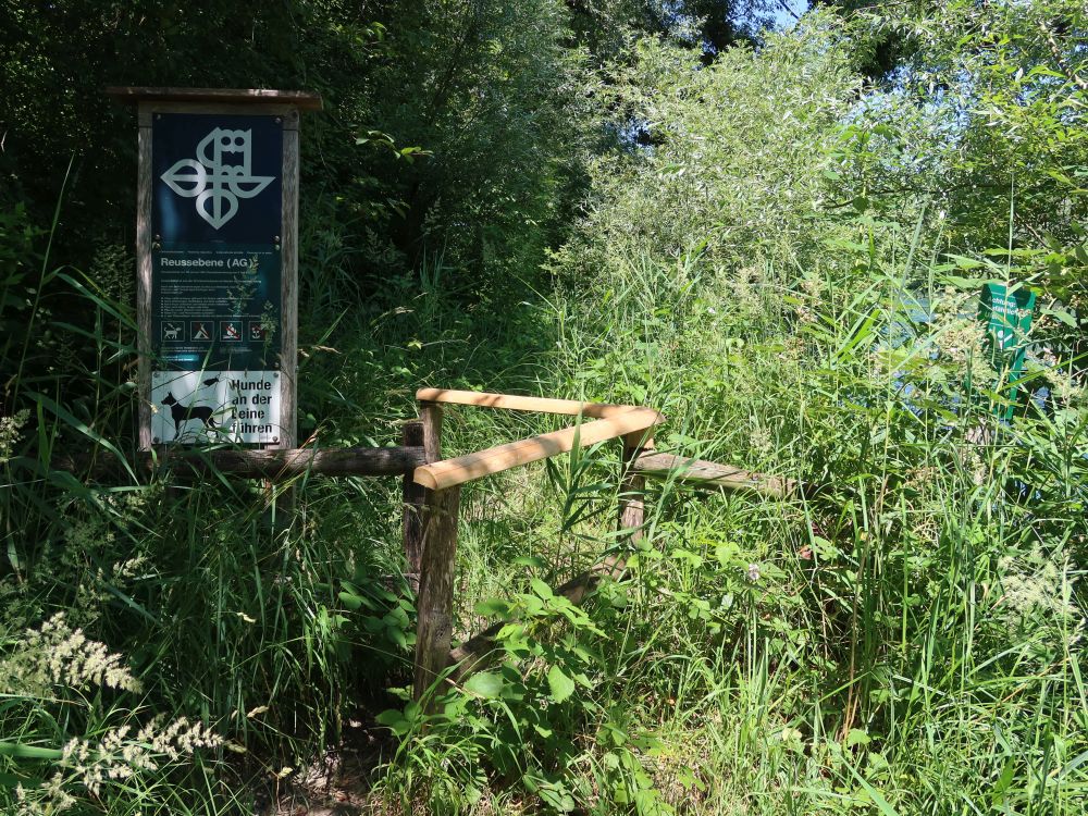 zugewachsener Pfad