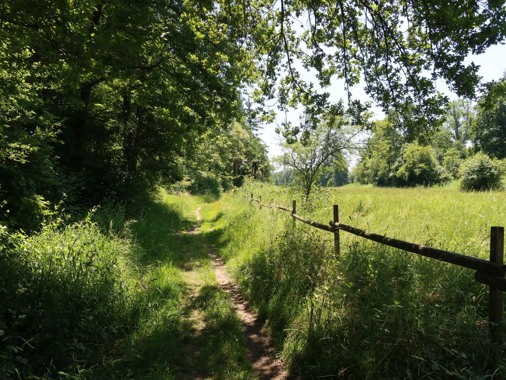 Pfad am Waldrand