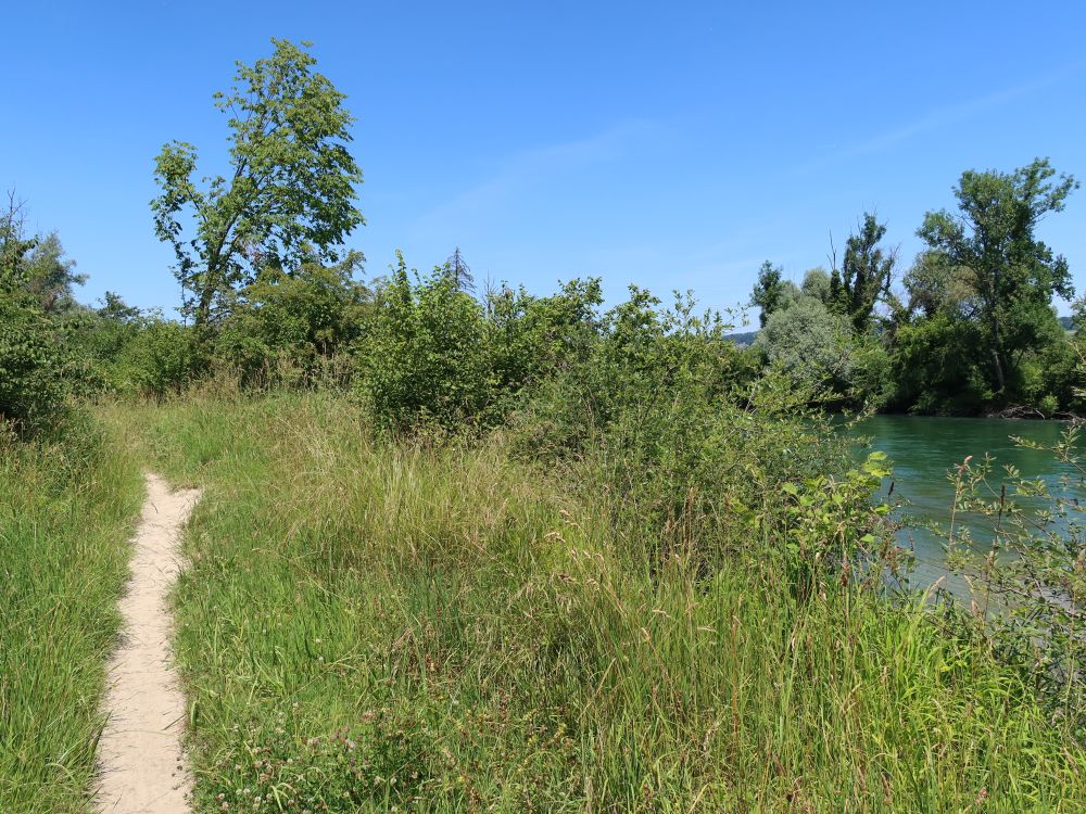 Pfad an der Reuss