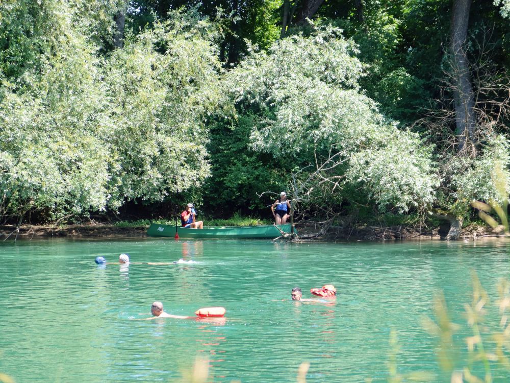 Schwimmer in der Reuss