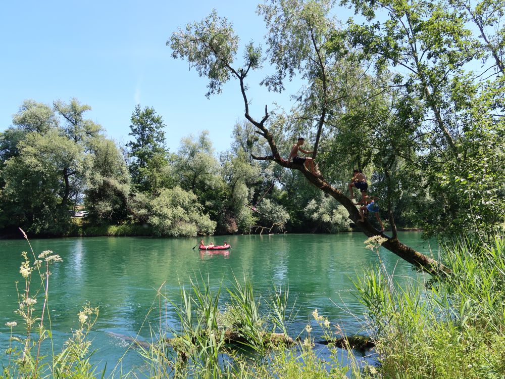 Schlauchboot und Kinder im Baum