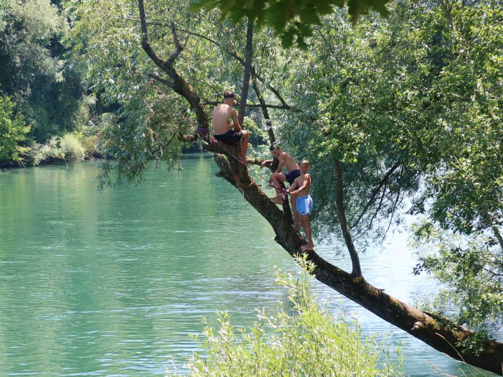 Kinder im Baum
