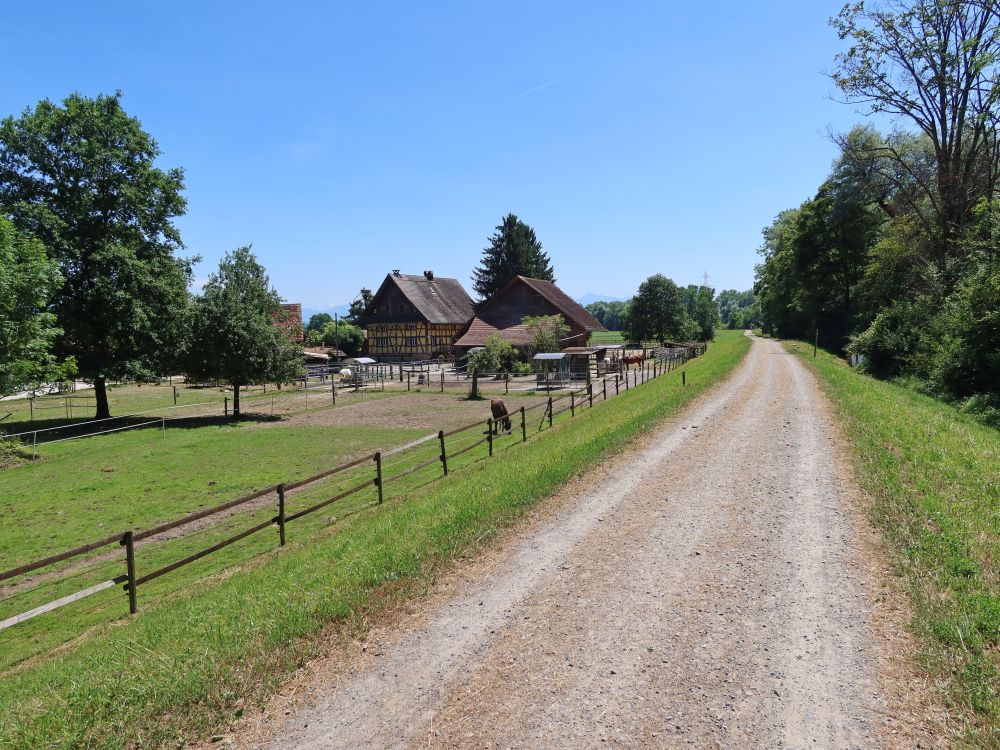 Heftihof