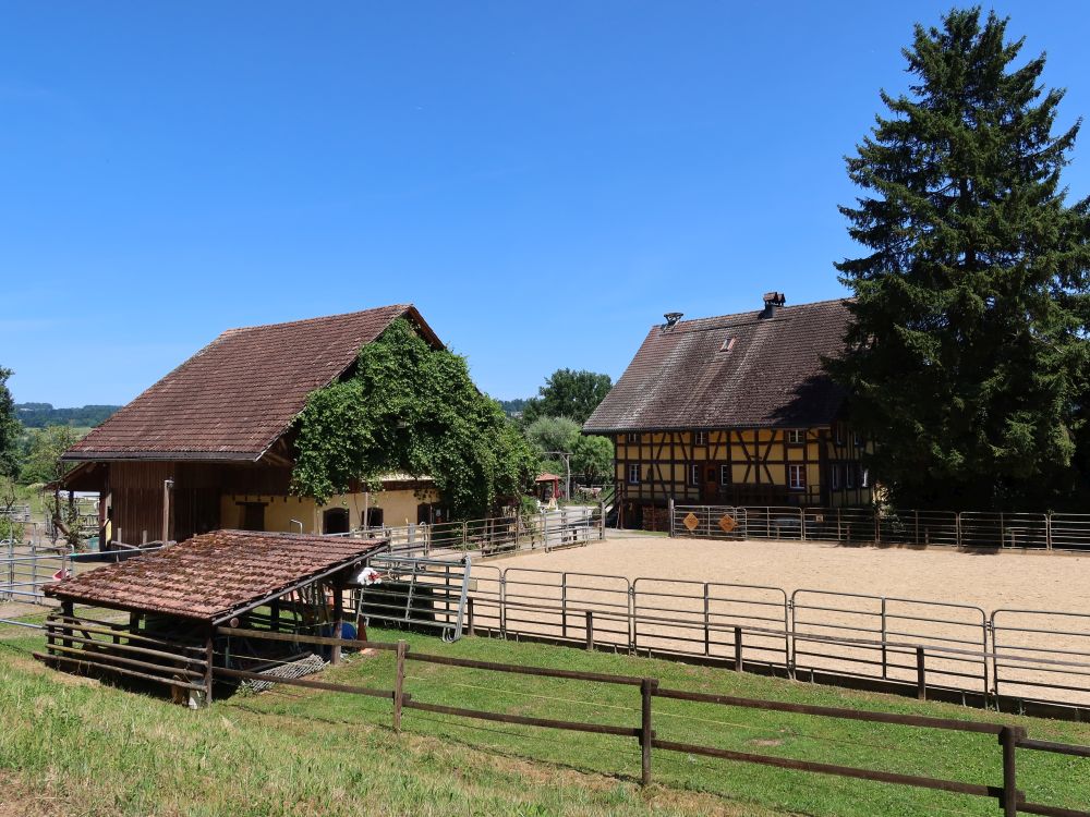 Heftihof
