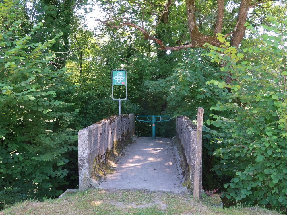 Steg über die Jonen, Uferpfad zugewachsen
