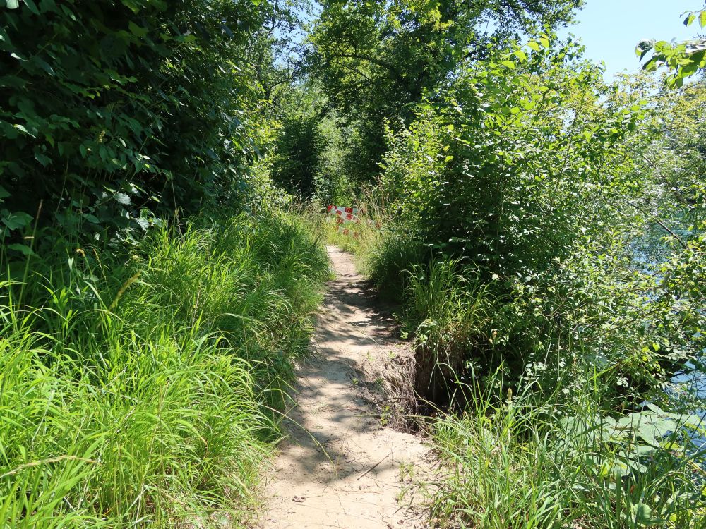 Erosion am Uferpfad