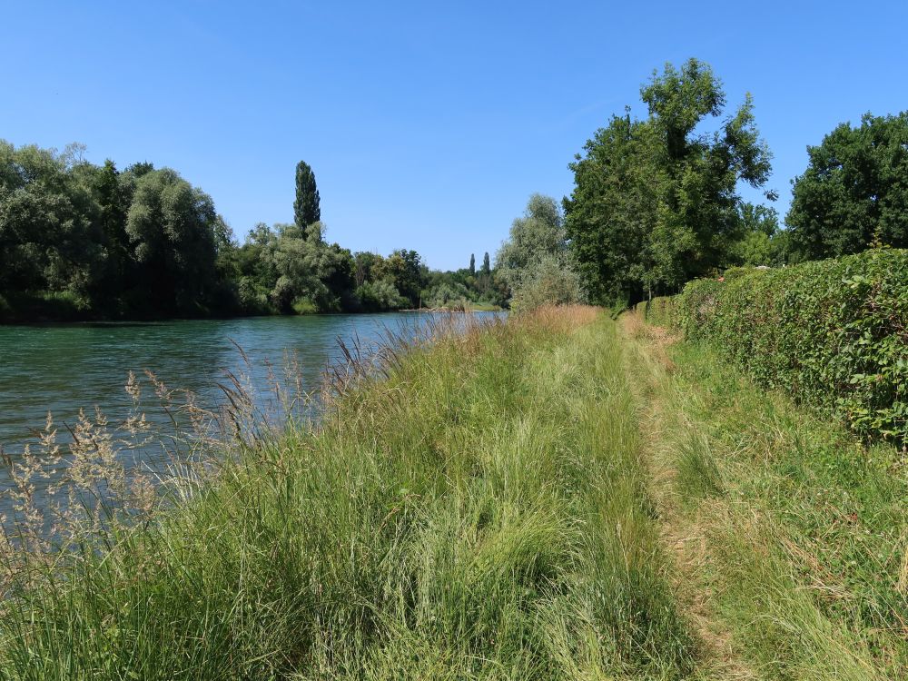Pfad an der Reuss