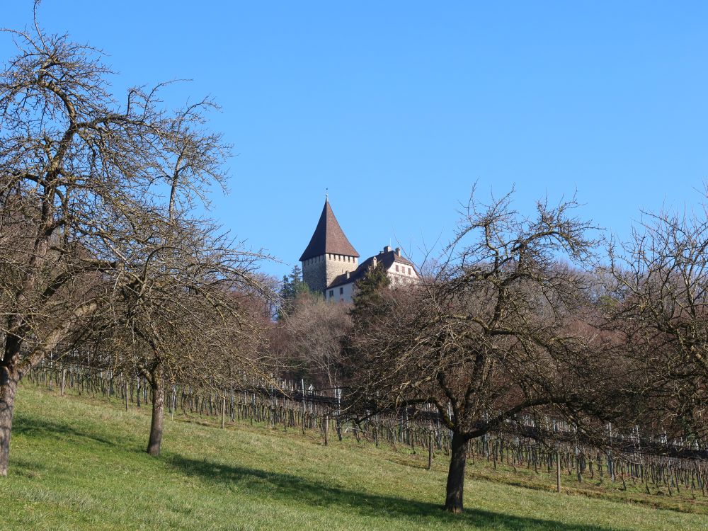 Schloss Weinfelden