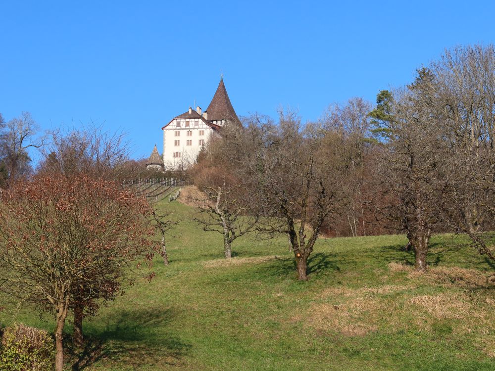 Schloss Weinfelden