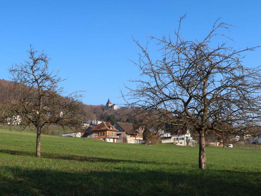 Blick Richtung Schloss Weinfelden