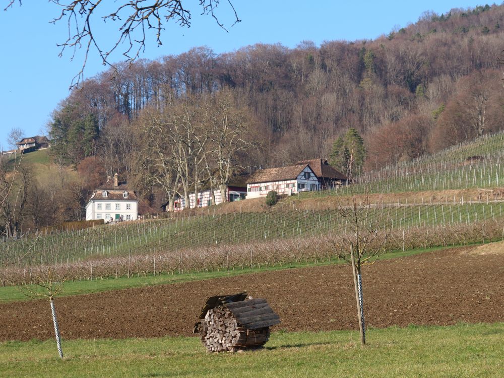 Schlossgut Bachtobel