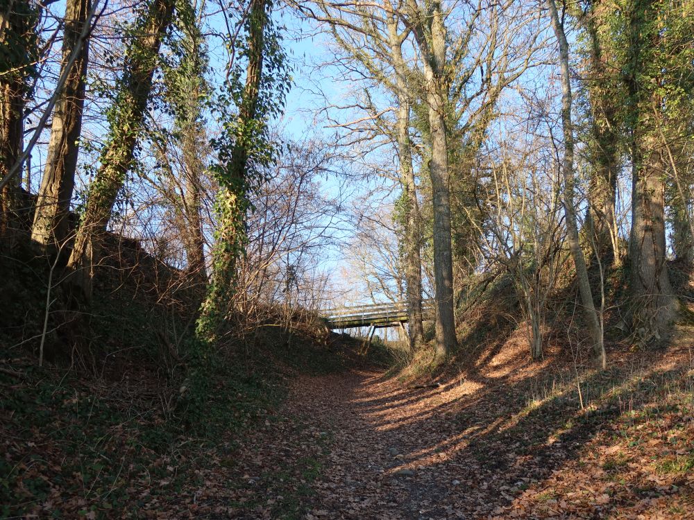 Steigweg nach Ruberbaum