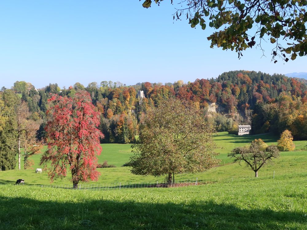 Burgruine Alt Ramschwag