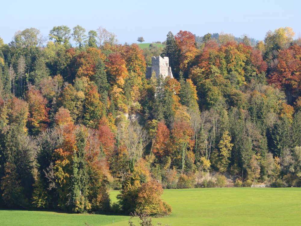 Burgruine Alt Ramschwag