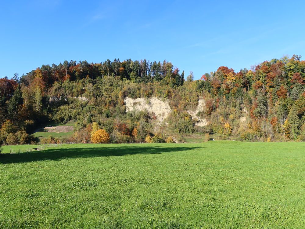 Felswand an der Sitter