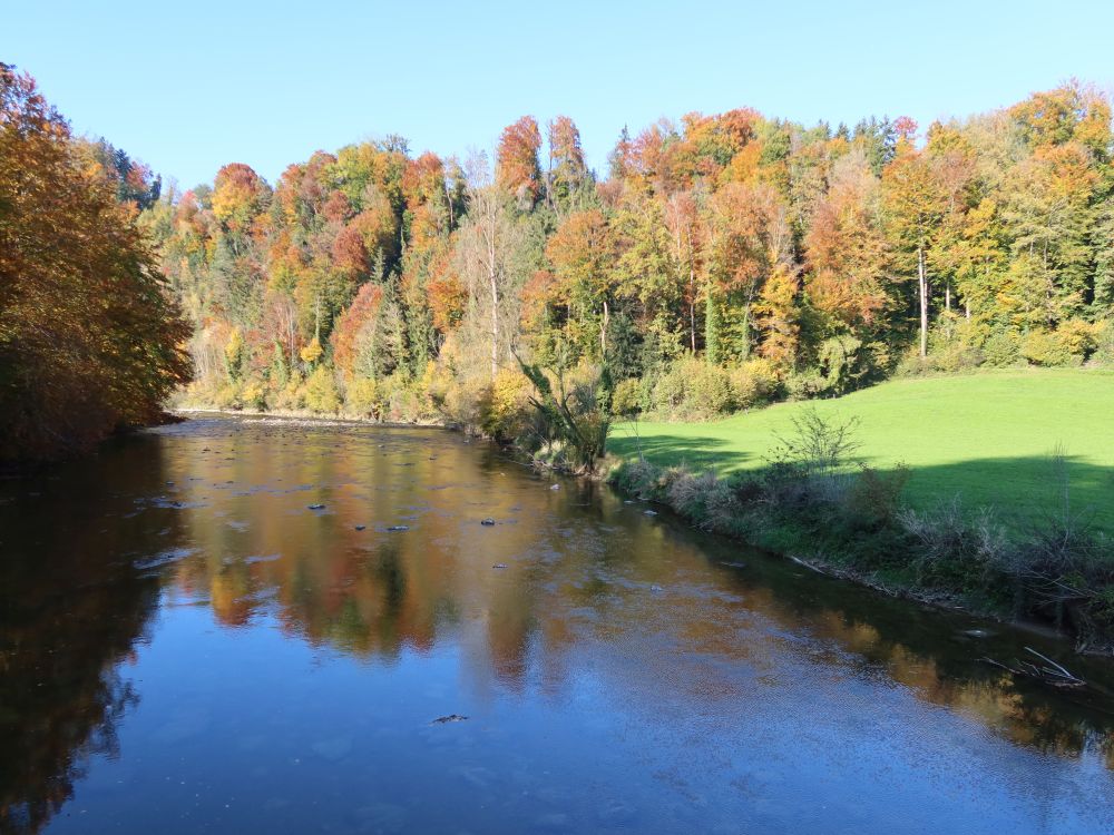 Sitter und Herbstbäume