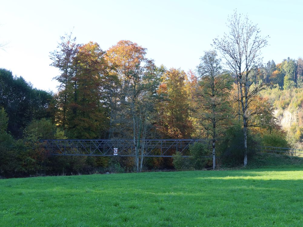 Steg über die Sitter