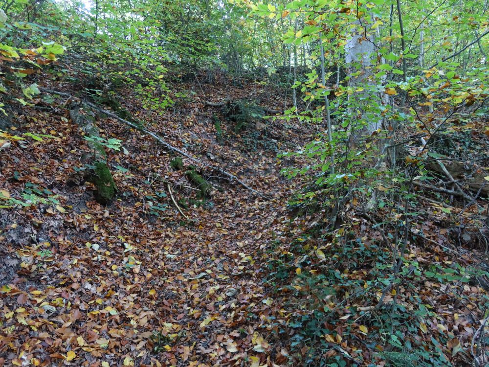 Pfad im Gärtauer Eald