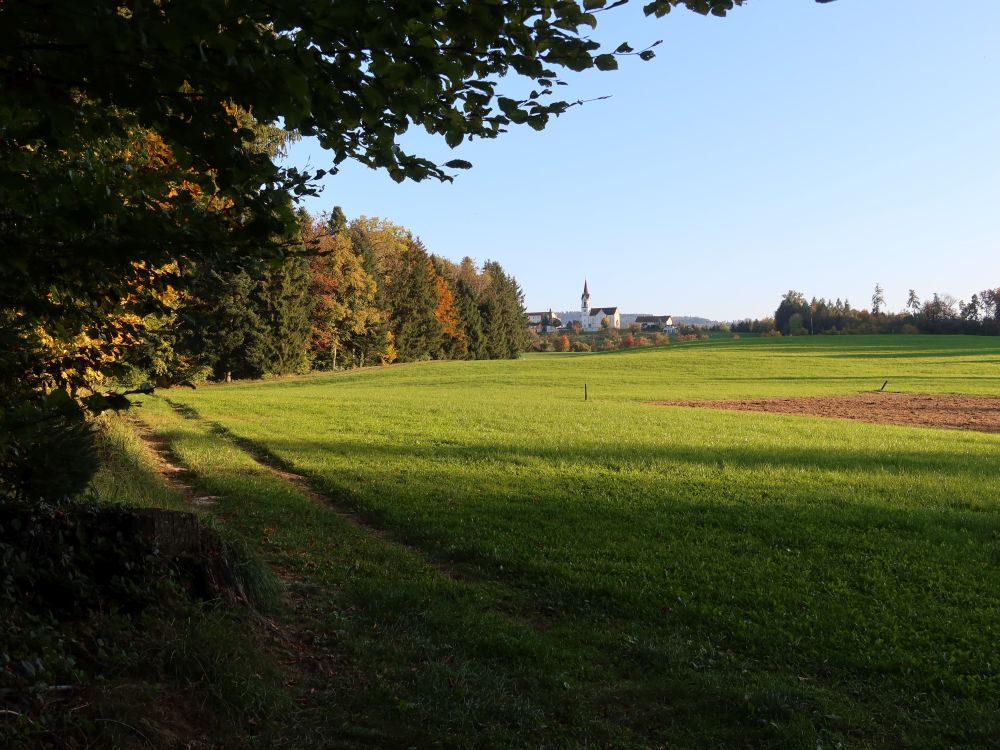 Blick Richtung St. Pelagiberg