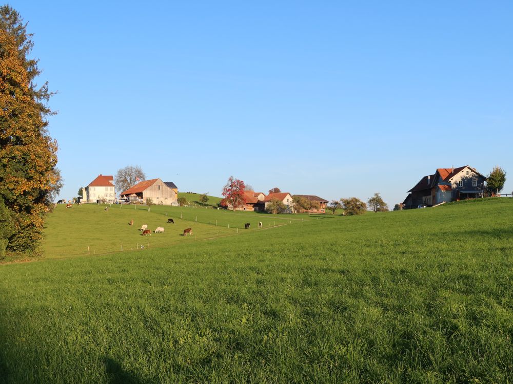 Blick Richtung Oberholz
