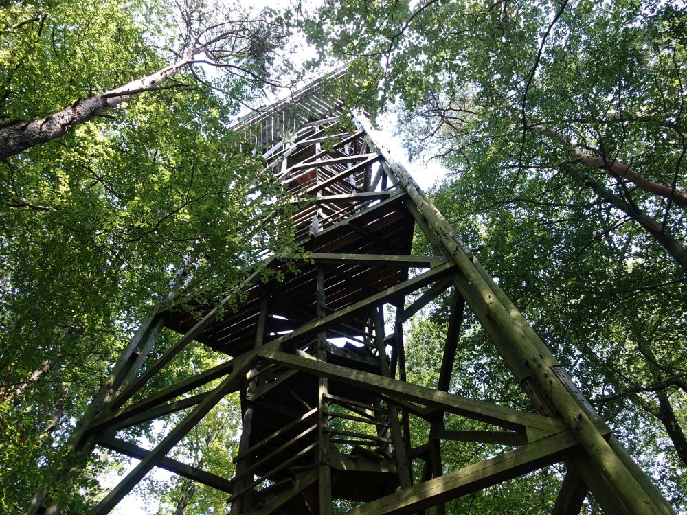 Aussichtsturm Petersboden