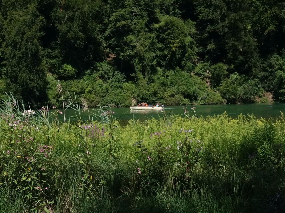 Boot auf dem Rhein