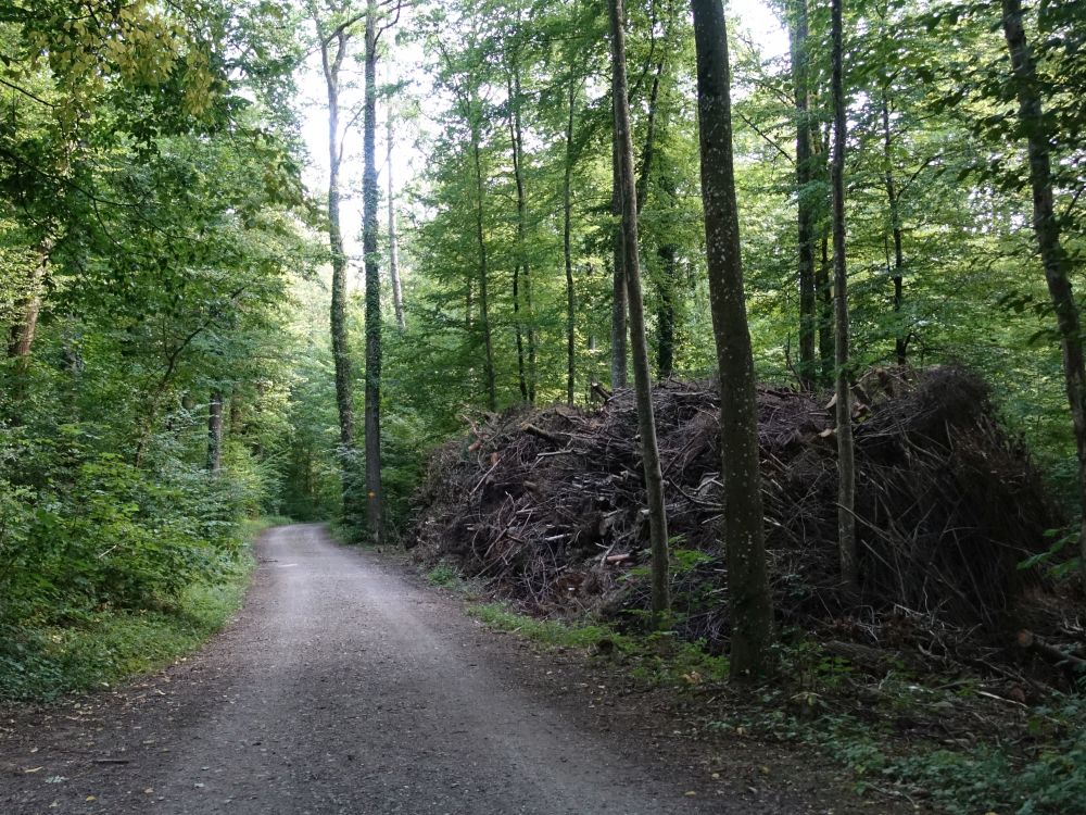 Holzberge