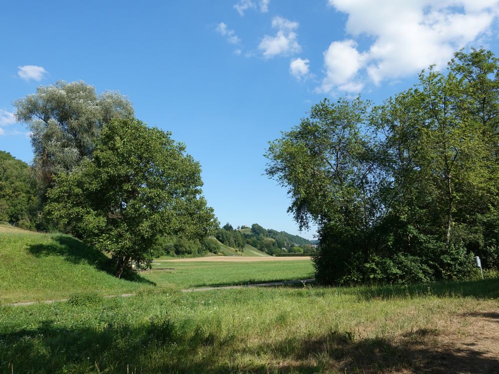 Blick zur Ruine Freienstein