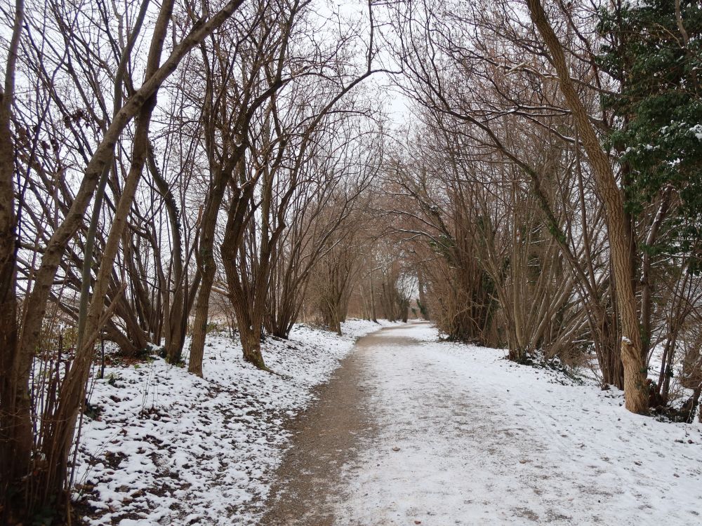 winterlicher Uferweg