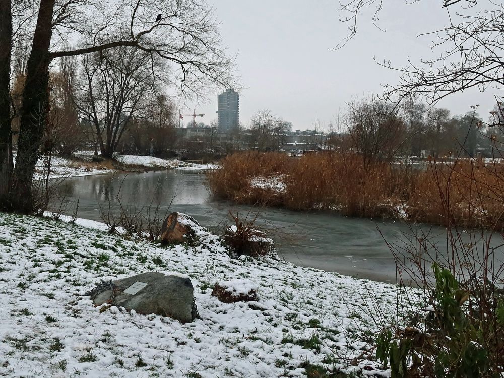 Hochhaus und Wildschweininsel