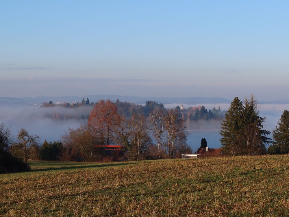 Insel Mainau zwischen Nebel