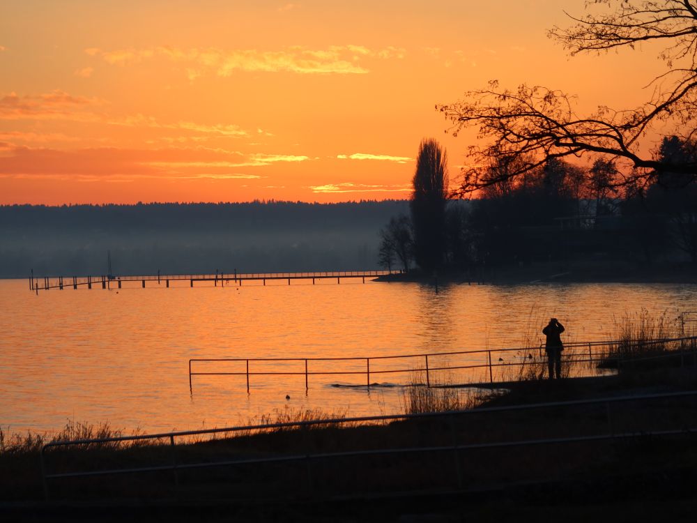 Abendlicht am Hörnle