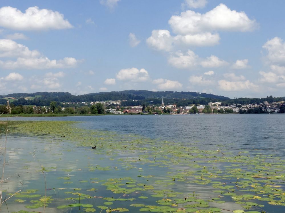 Blick auf Pfäffikon