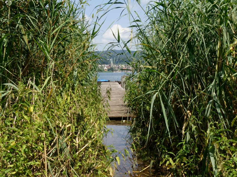 Überfluteter zugang zum Holzsteg