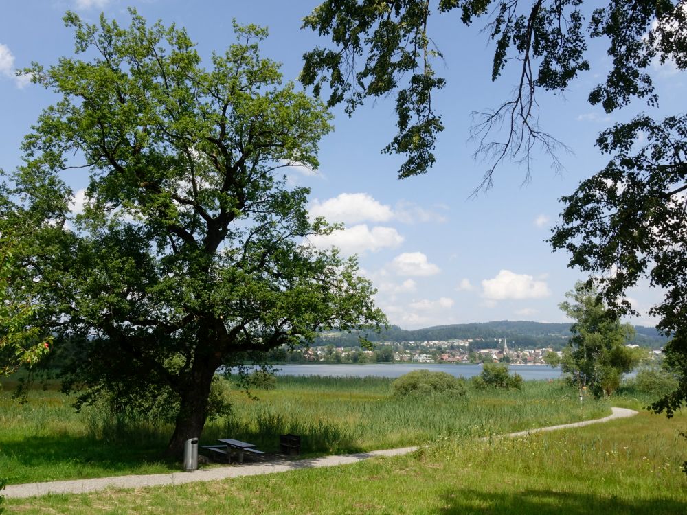 Grillplatz und Pfäffikon