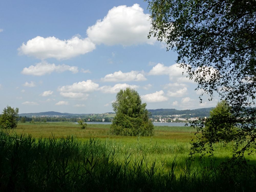 Blick Richtung Pfäffikon