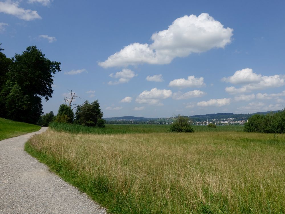 Wanderweg mit Blick Richtung Pfäffikon