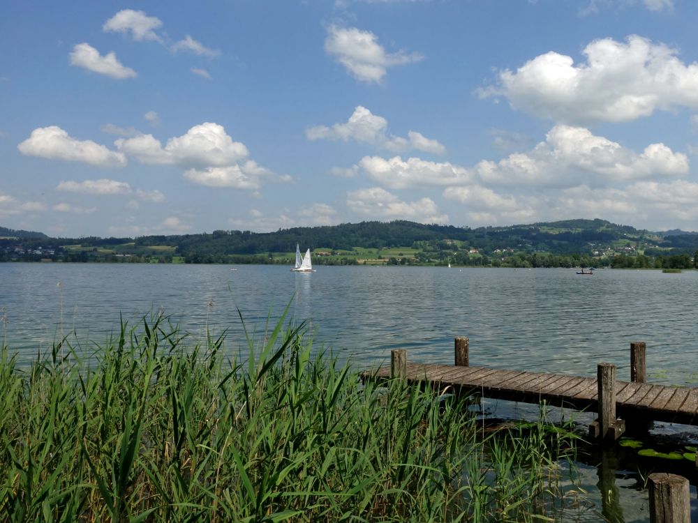 Holzsteg und Segelboote