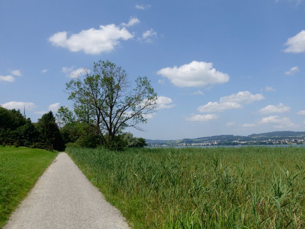 Wanderweg mit Blick Richtung Pfäffikon