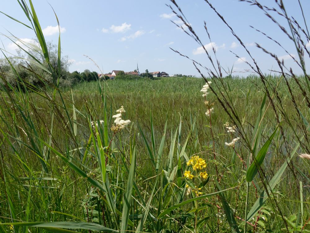 Blick Richtung Seegräben