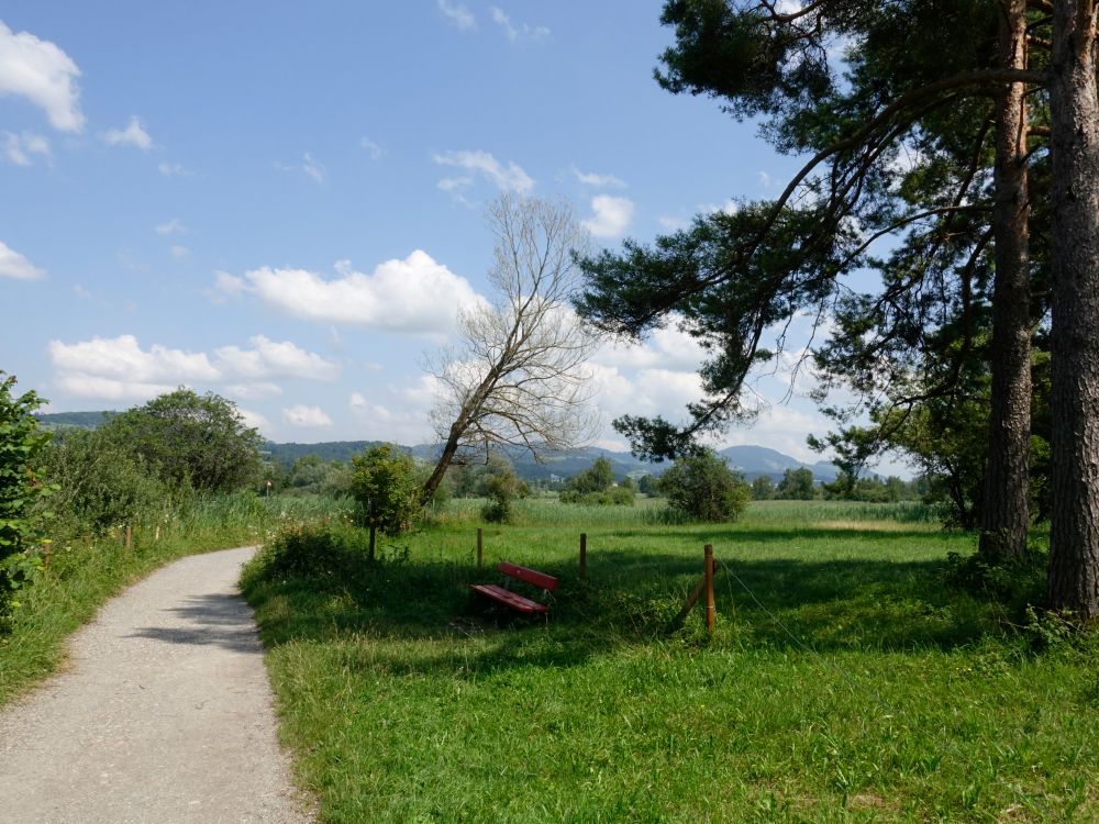 Sitzbank am Wanderweg